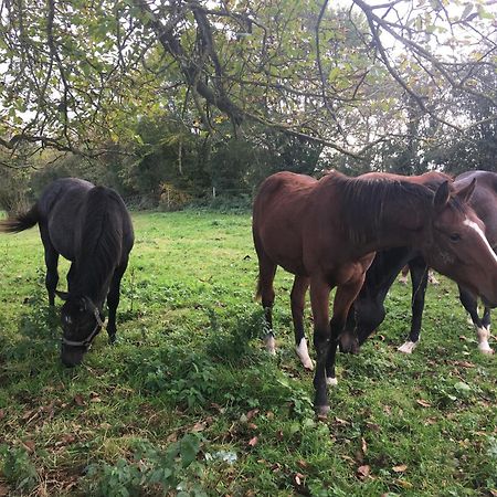 Suite Factory : Gite De Charme En Avesnois Wargnies-le-Petit Luaran gambar
