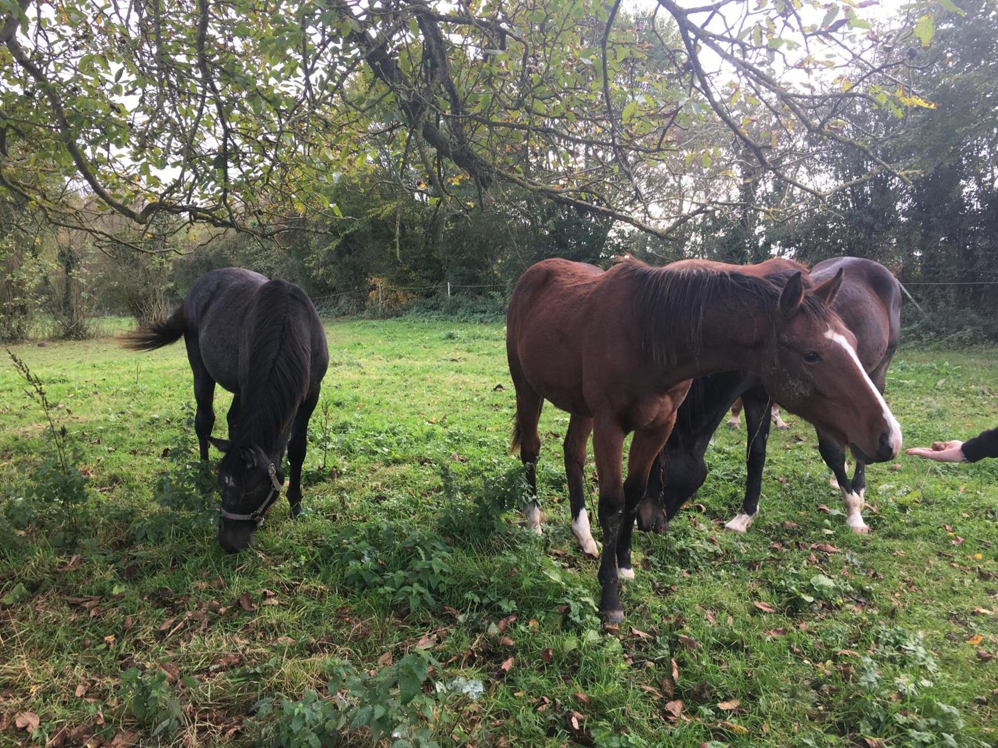 Suite Factory : Gite De Charme En Avesnois Wargnies-le-Petit Luaran gambar